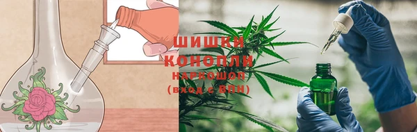 круглые Вязьма
