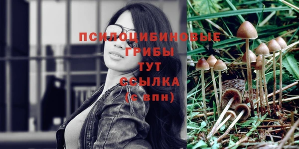 MDMA Premium VHQ Вяземский