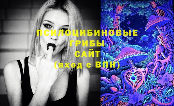 MDMA Premium VHQ Вяземский